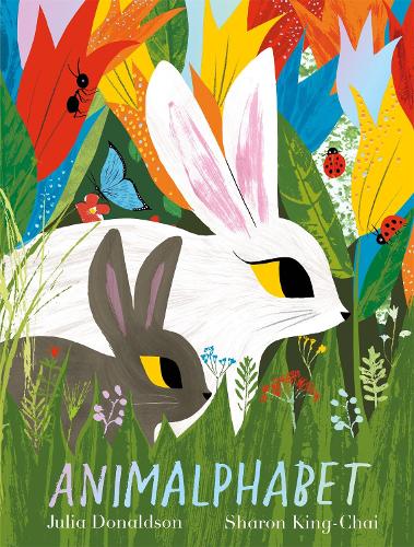 Cover of Animalphabet by Julia Donaldson Illustrated by Sharon King-Chai