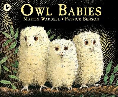 Cover of Owl Babies by Martin Waddell