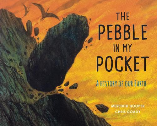 Cover of The Pebble in My Pocket by Meredith Hooper